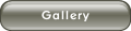 Gallery.
